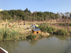 -牛岗山公园