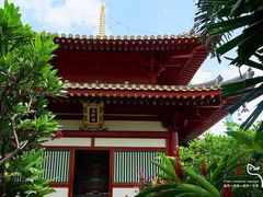 -新加坡佛牙寺龙华院
