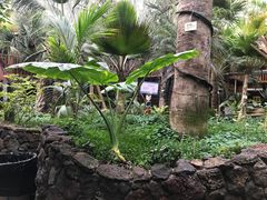 -呀路古热带植物园-恐龙馆