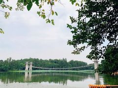 -东湖落雁景区