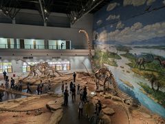 -自贡恐龙博物馆