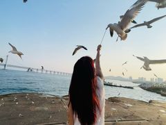 -星海广场