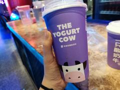 -一只酸奶牛(八一路店)