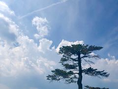 -有栖山 清光院 清水寺