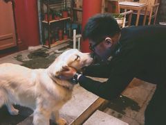 -百好乐宠物友好餐厅(朝外大街店)