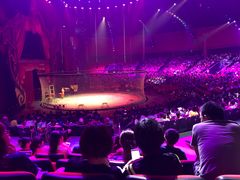 -珠海横琴长隆《卡卡虎奇遇记》