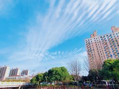 -三林塘老街