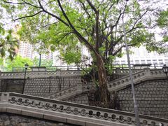 -香港佐治五世纪念公园