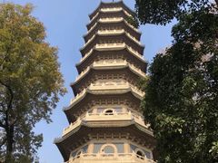 -灵谷景区
