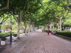 -杭州君悦酒店