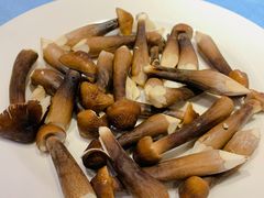 -千岛蚝高压锅生蚝·人参火锅(白云万达店)