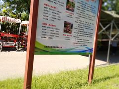 -永定河休闲森林公园