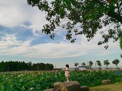 -滆湖低碳生态公园