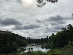 -墨尔本皇家植物园