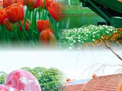 -上海鲜花港