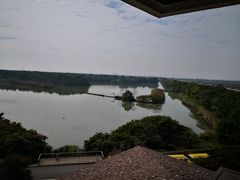 -大湾区中央湿地公园
