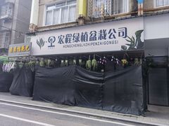 -溪岸路花鸟市场