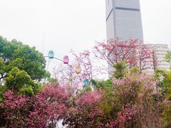 -柳侯公园