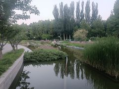 -大望京公园