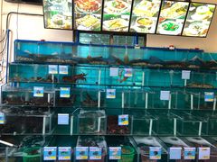 水产区-琼大师东方烤乳猪(亚特兰蒂斯店)