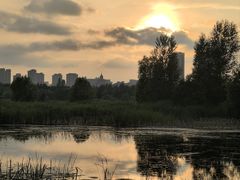 -Kpasta韩式意大利面