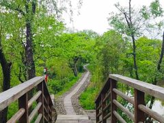 -西溪国家湿地公园