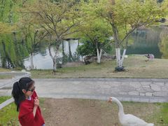 -宁波九龙湖开元度假村