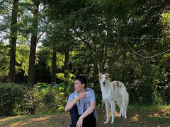 -上海美帆帆船露营基地