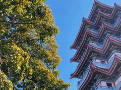-合江楼