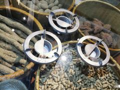 -张关合渣(朱家坳店)