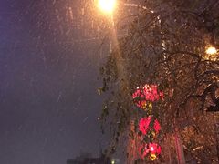 -阿布拉的馕(西北路店)