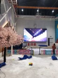 -Mr·Kuma酷么先生雪之乐园