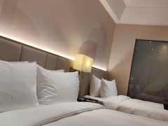 -上海浦东华美达大酒店