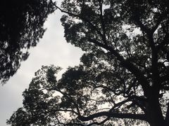 景点-济公故居