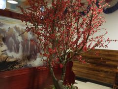 -第二外国语学院-韩国餐厅(朝阳路店)