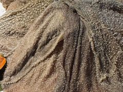 -海底捞火锅(世豪广场店)