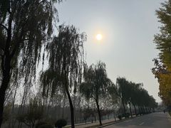 -洨河生态公园