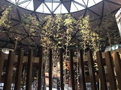 -上海滴水湖皇冠假日酒店