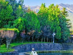 -崇圣寺三塔文化旅游区