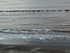 -南汇新城海滩