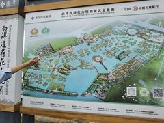 -荷花大观园