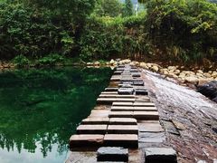 -石台牯牛降景区