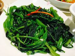 -石头咕(葵蓬店)