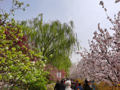 -元大都城垣遗址公园