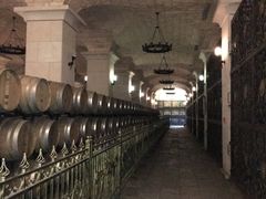 地下酒窖-北京张裕爱斐堡酒庄