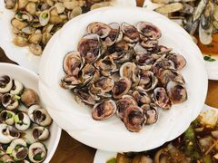 血蛤-芦潮港集贸市场