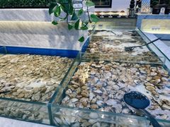 -川骄海鲜自助(河东店)
