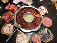 -大龙火锅(老店)
