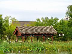 -西海子公园