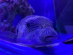 -上海海昌海洋公园